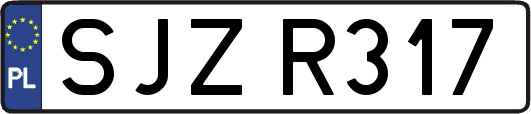 SJZR317