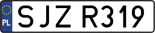 SJZR319
