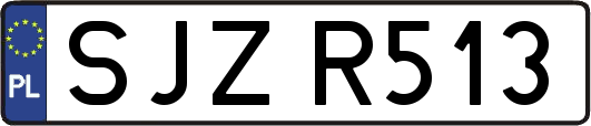 SJZR513