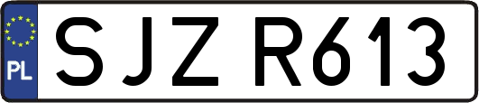 SJZR613