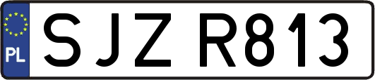 SJZR813