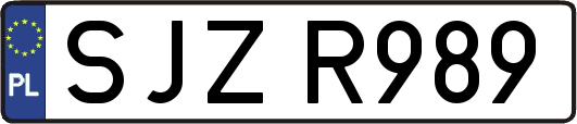 SJZR989