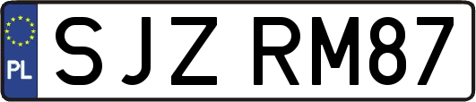 SJZRM87