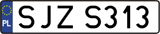 SJZS313