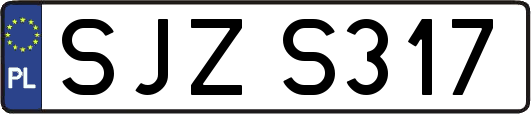 SJZS317