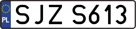 SJZS613