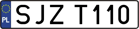 SJZT110
