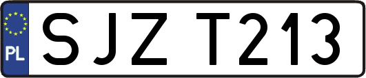 SJZT213