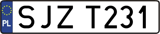 SJZT231