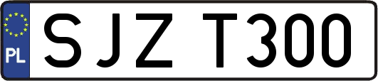 SJZT300
