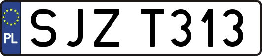 SJZT313
