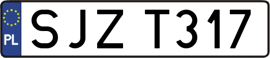 SJZT317
