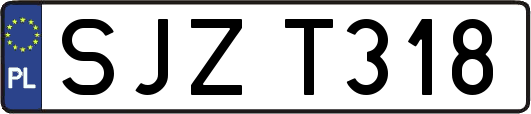 SJZT318