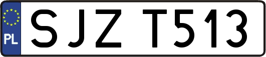 SJZT513