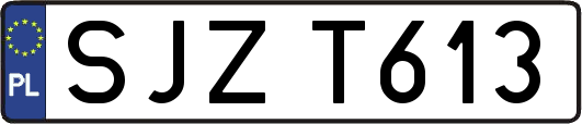 SJZT613