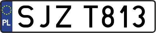 SJZT813