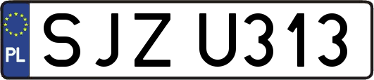 SJZU313