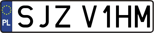 SJZV1HM