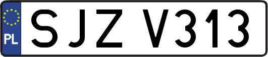 SJZV313