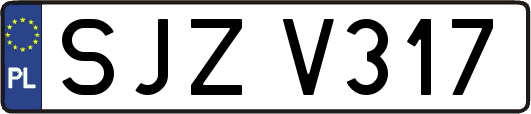 SJZV317
