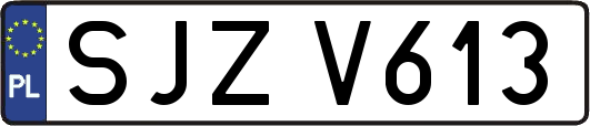 SJZV613