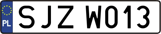 SJZW013