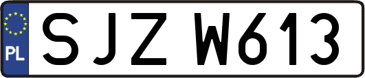 SJZW613