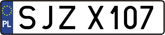 SJZX107