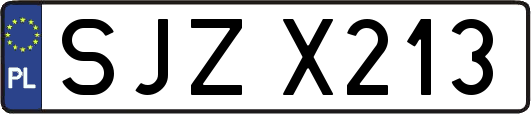 SJZX213