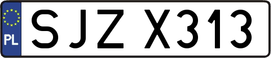 SJZX313