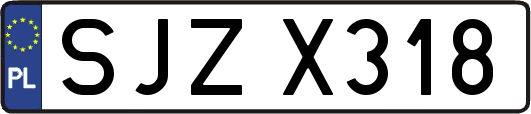 SJZX318