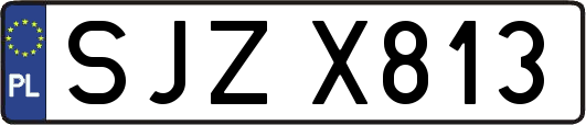 SJZX813