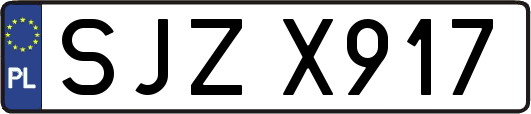 SJZX917