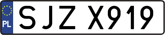 SJZX919