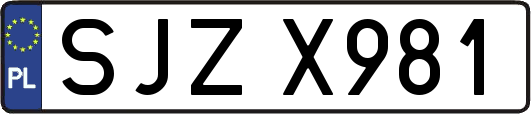 SJZX981