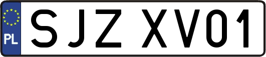 SJZXV01