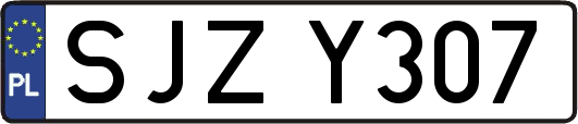 SJZY307