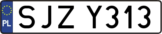 SJZY313