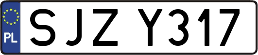 SJZY317