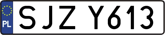 SJZY613