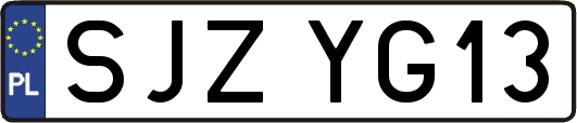 SJZYG13