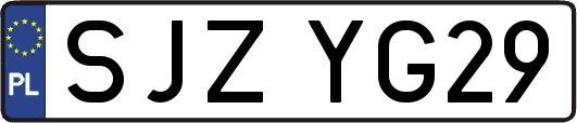SJZYG29