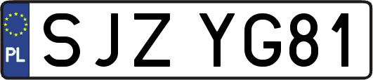 SJZYG81