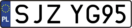 SJZYG95