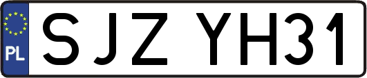 SJZYH31