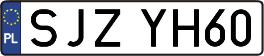 SJZYH60