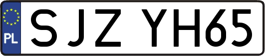 SJZYH65