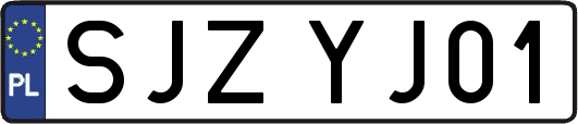 SJZYJ01