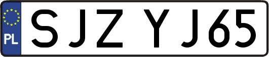 SJZYJ65