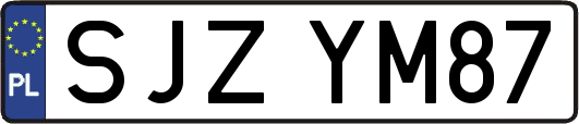 SJZYM87